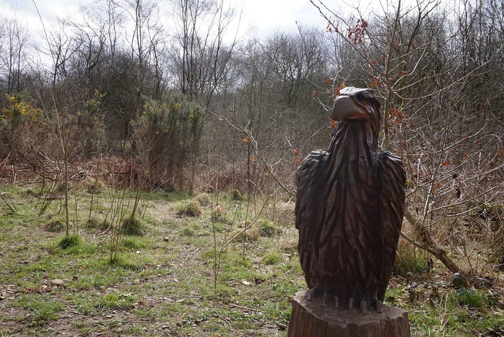 Sculpture Trail Adventure