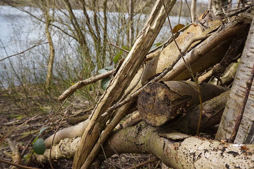 Sculpture Trail Adventure