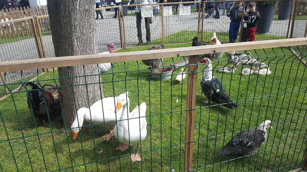 L'Oréal & NYX Cosmetics