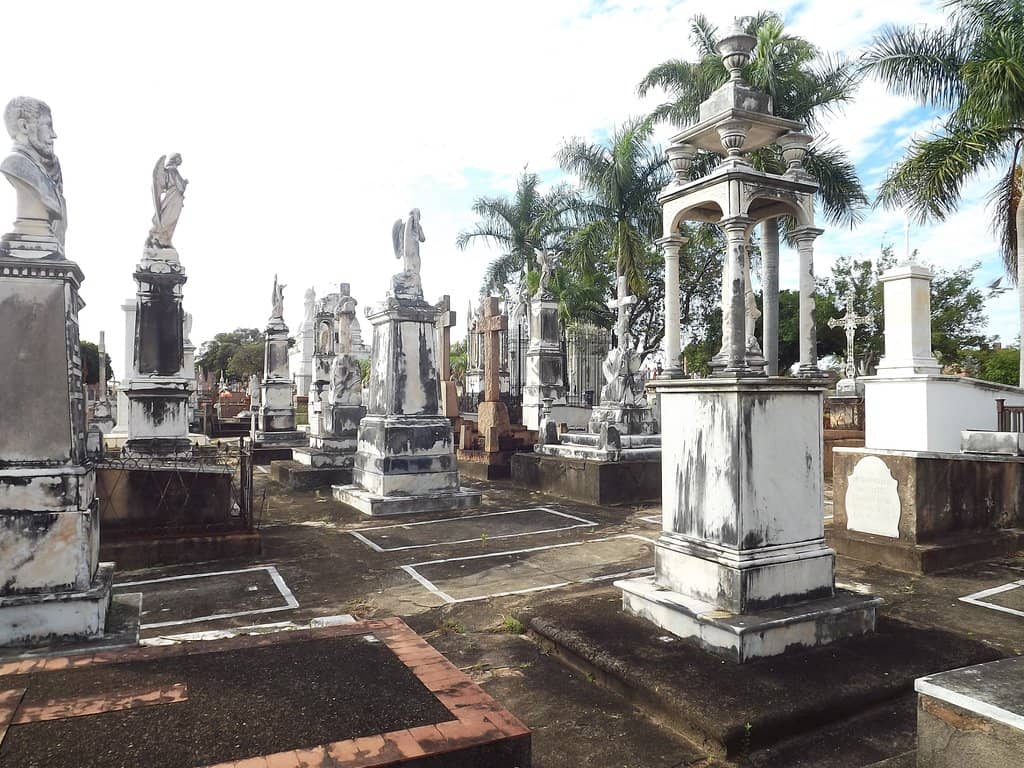Oldest Tomb: Rosinha