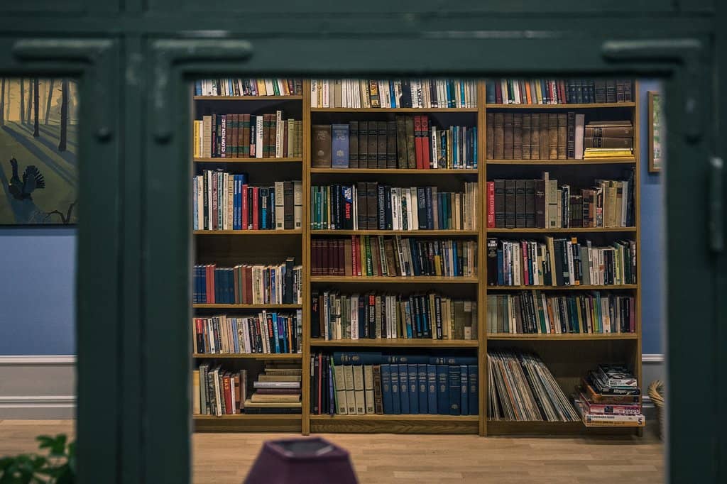 Wallander's World