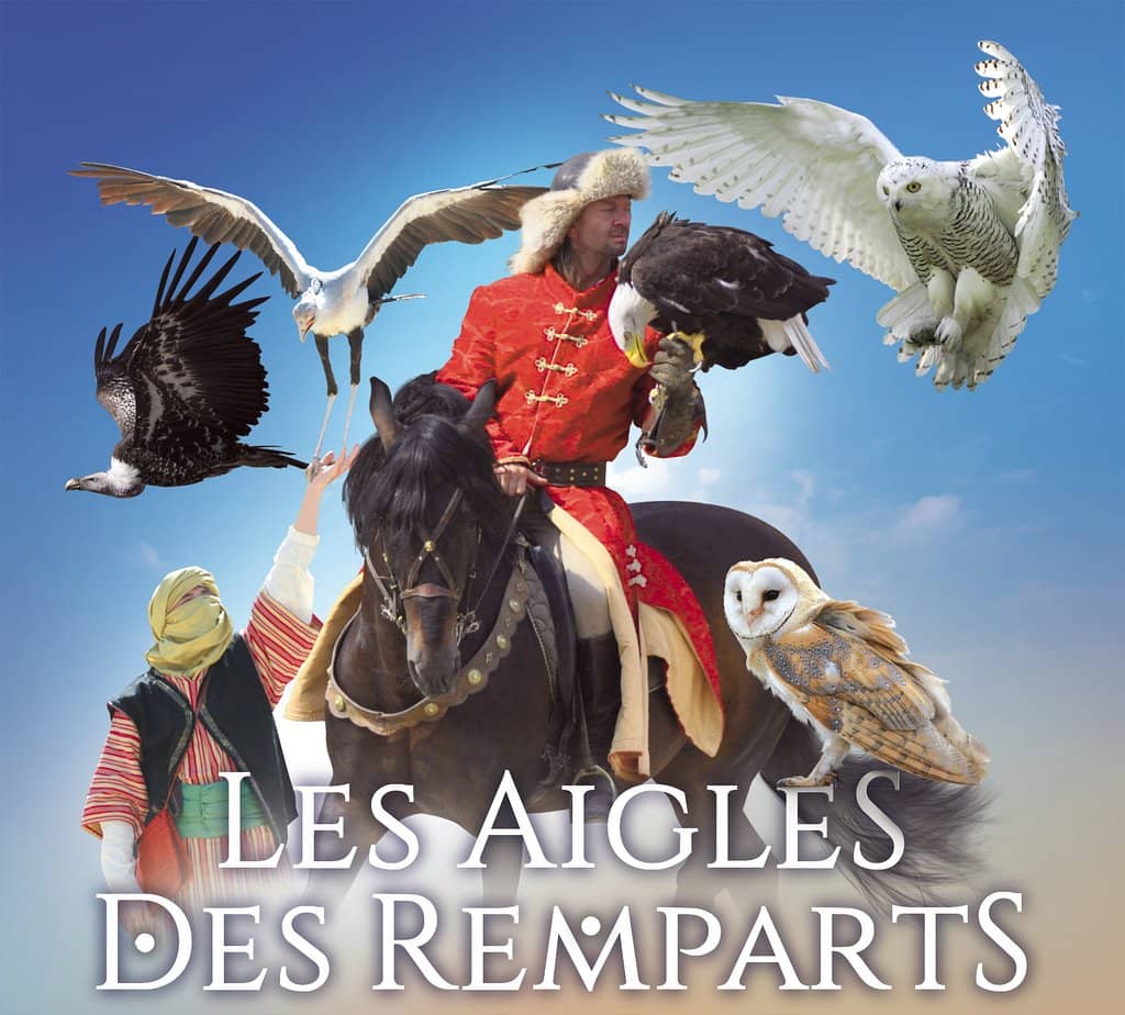 Diverse Raptor Collection