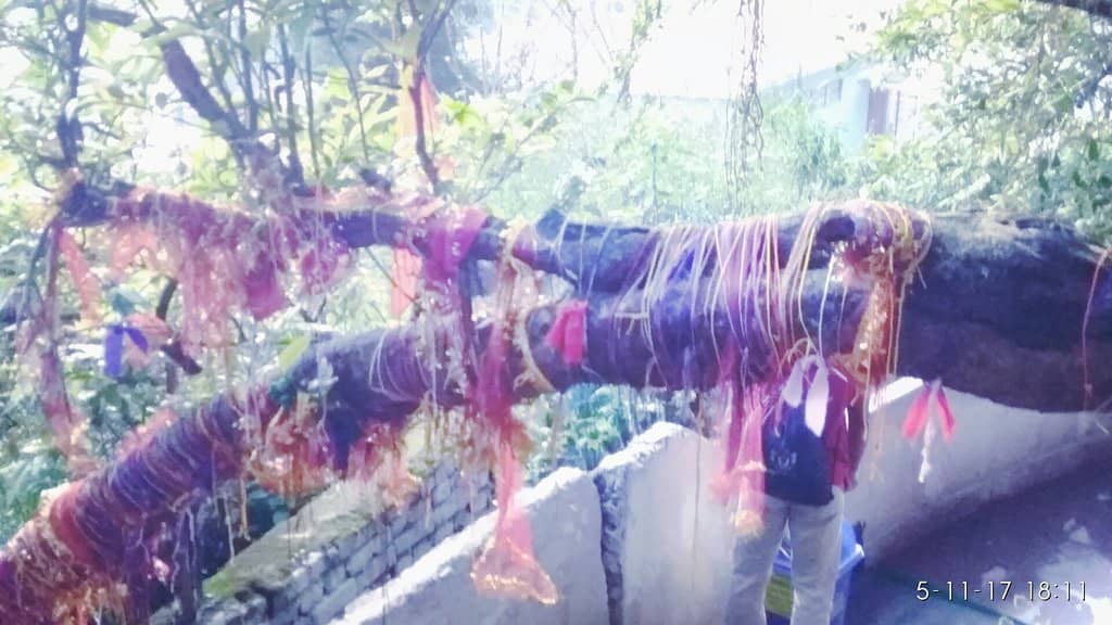 Vertical photo