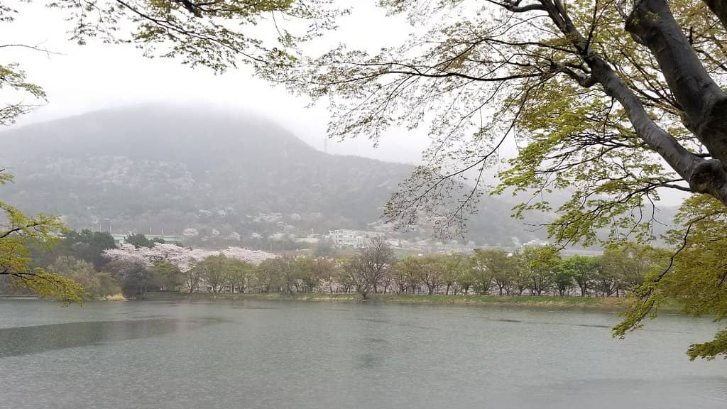 Shaded Walking Paths