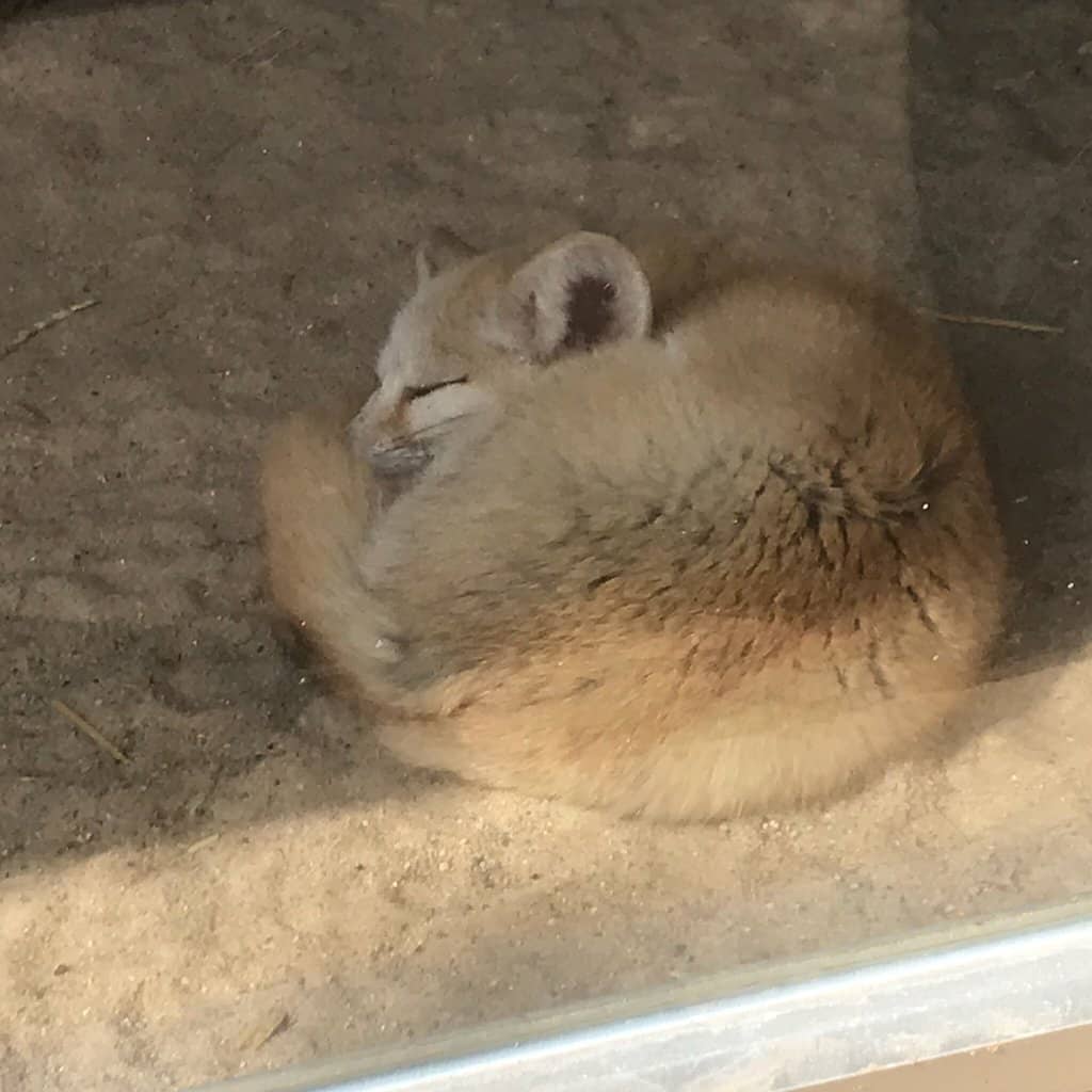 Hands-On Exploration