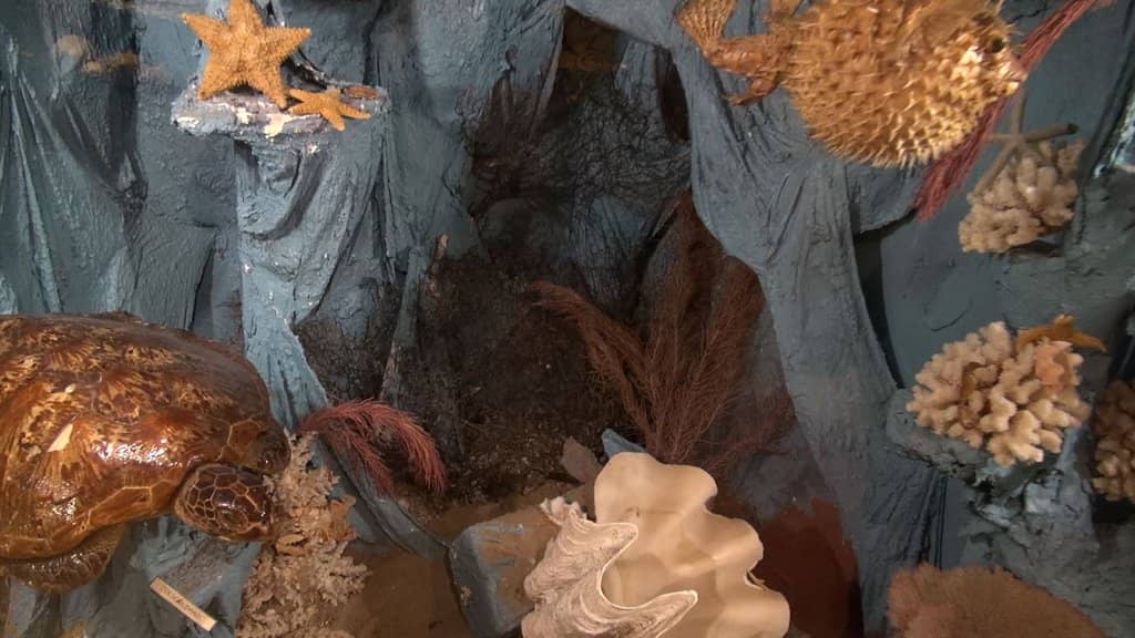 Unique Home Decor