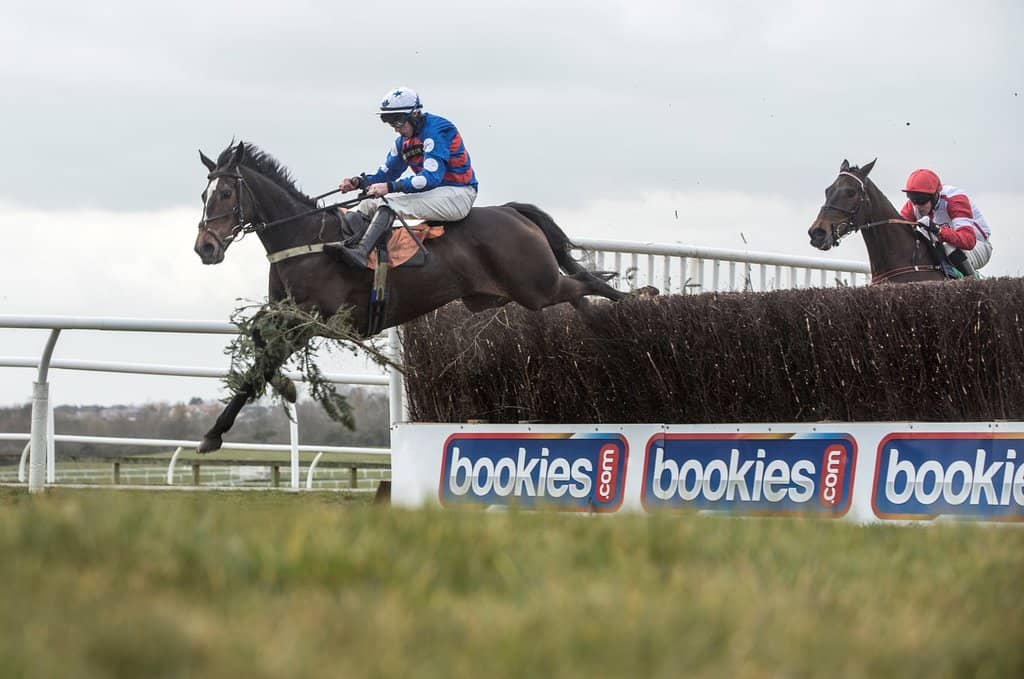 Hound Trail Demonstration