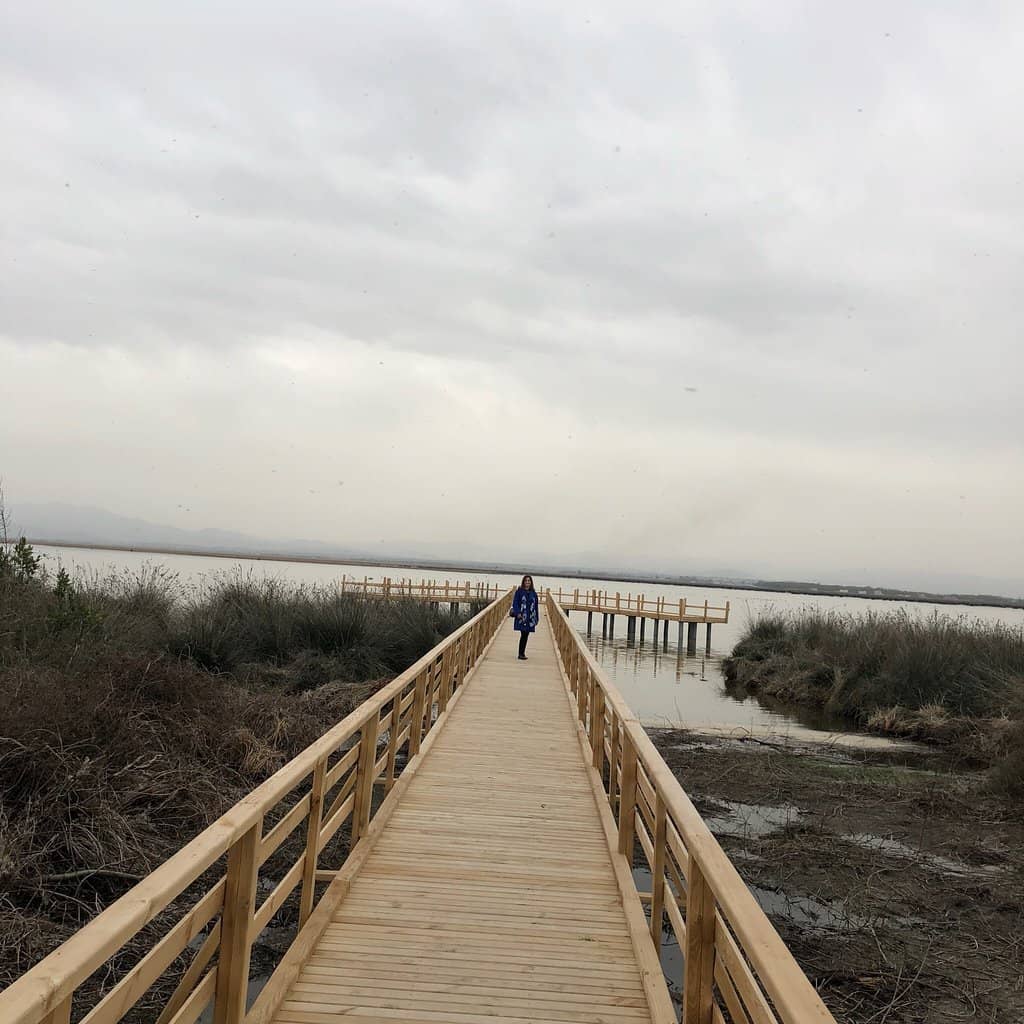 Vertical photo