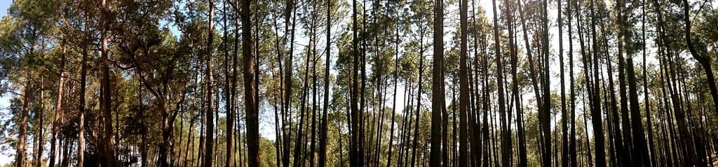 Panoramic Himalayan Views