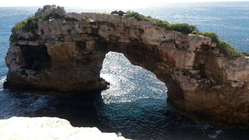 Scenic Viewpoint