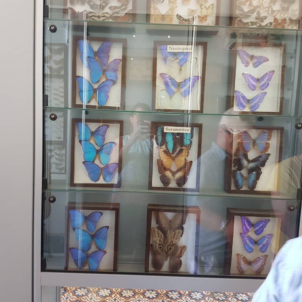 Unique Artifacts