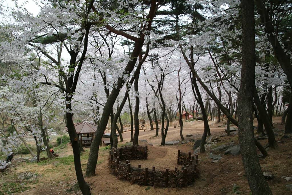 Sculptural Art Installations