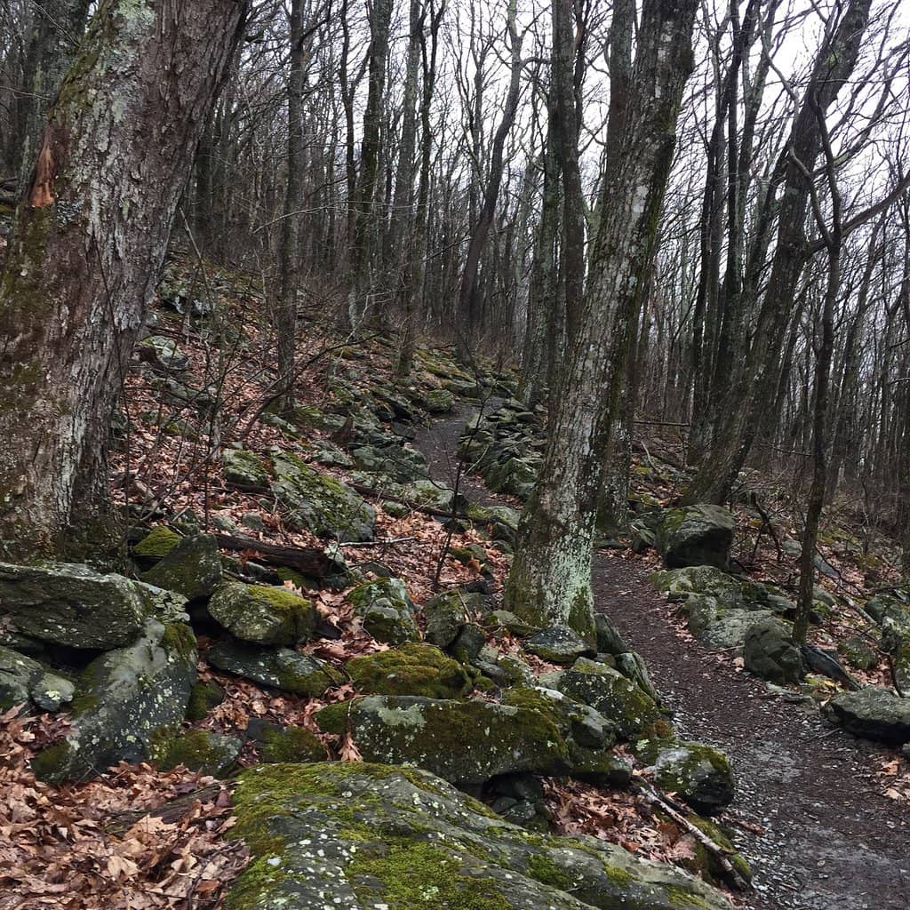 Fall Foliage Spectacle