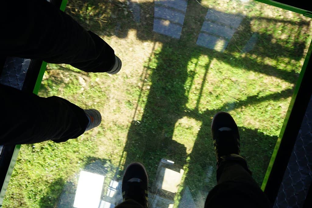 Vertical photo