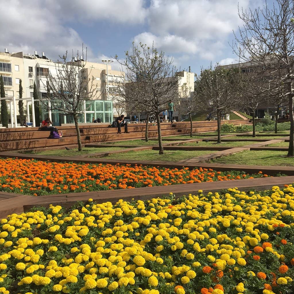 Bauhaus Architecture