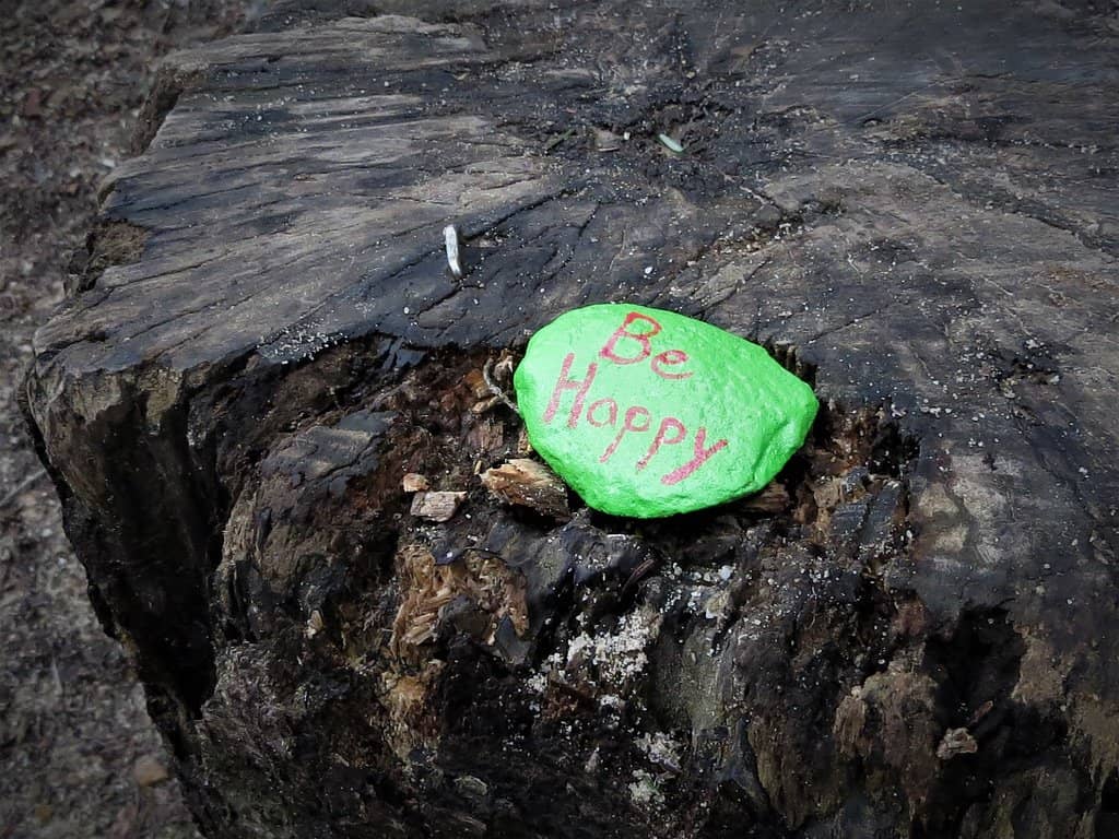 Historic Downtown Cedar Falls