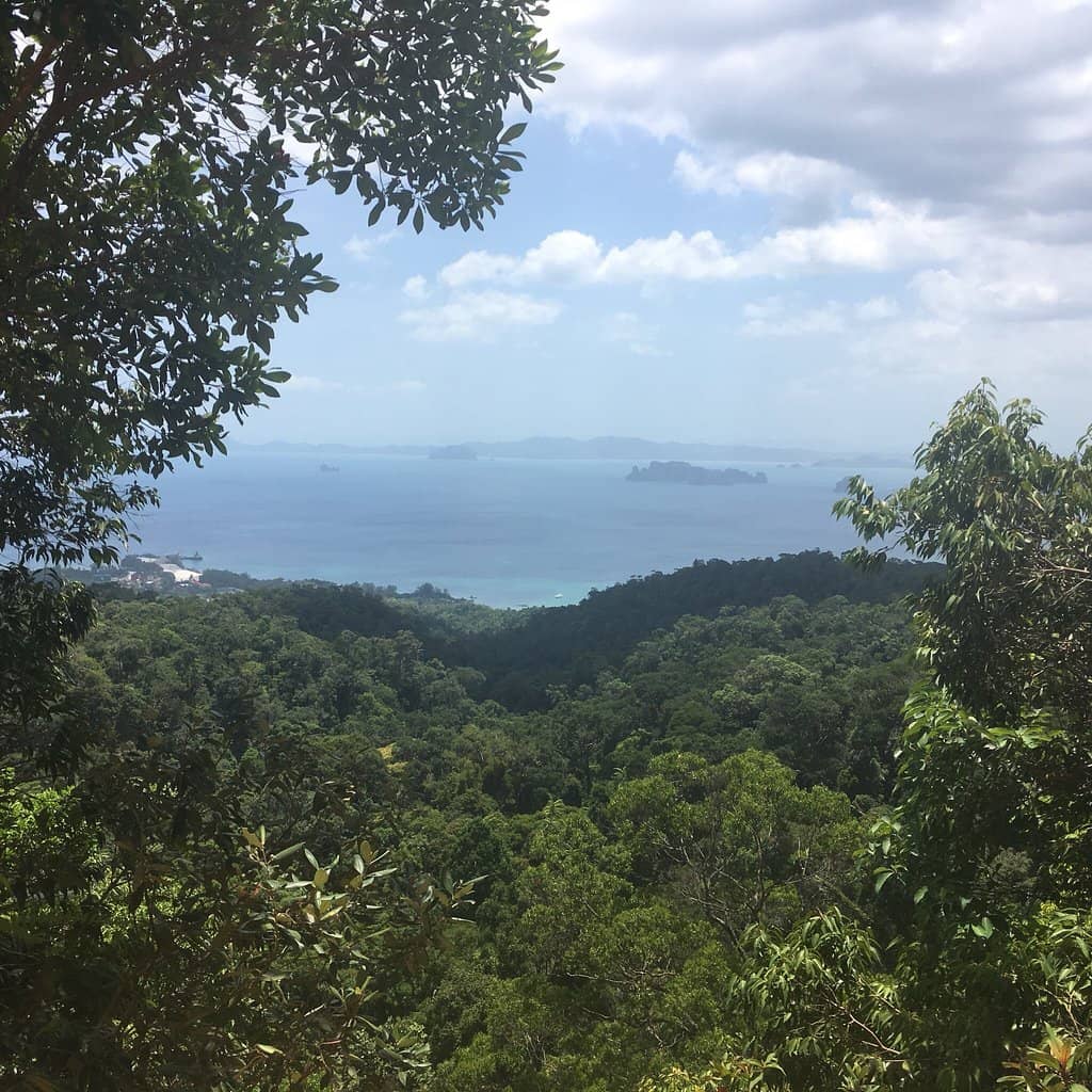Jungle Trail