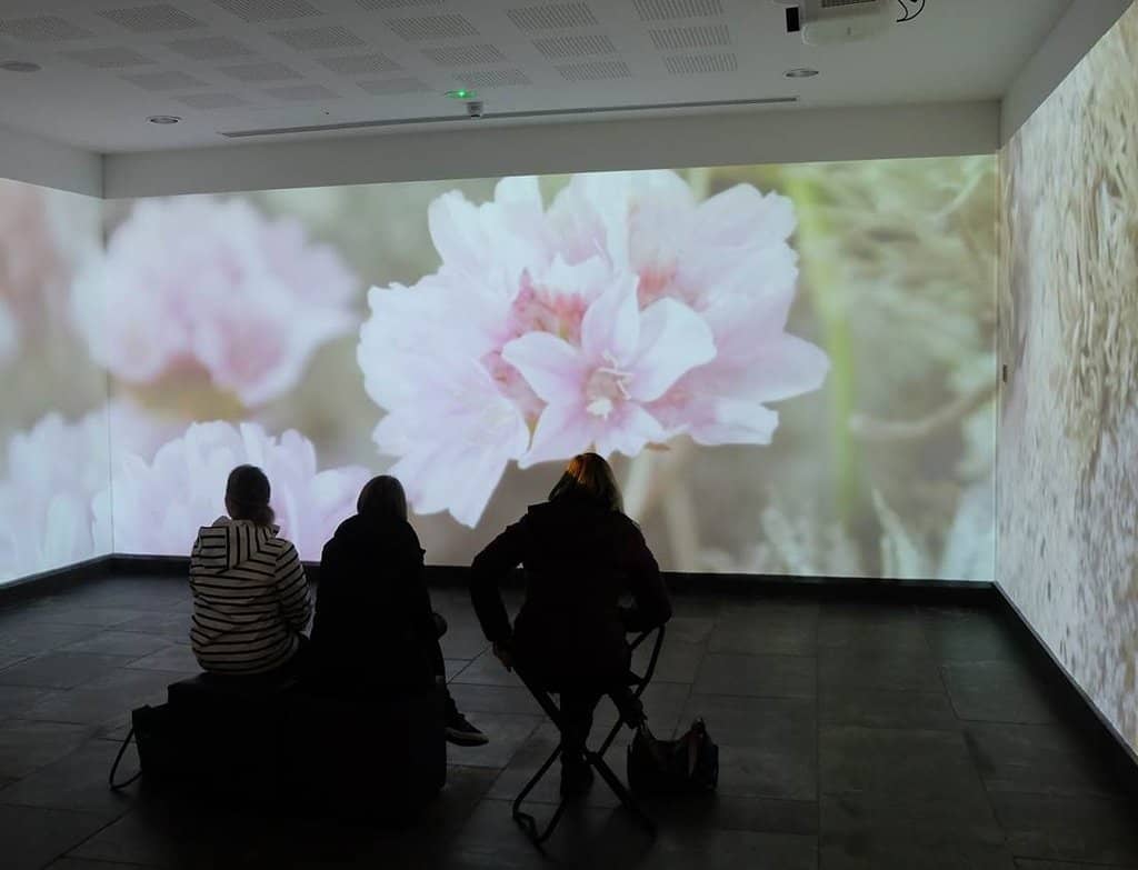 Island Life Through the Seasons