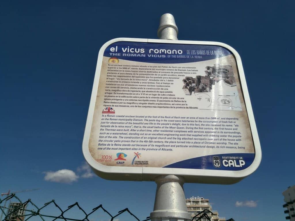 Abundant Marine Life