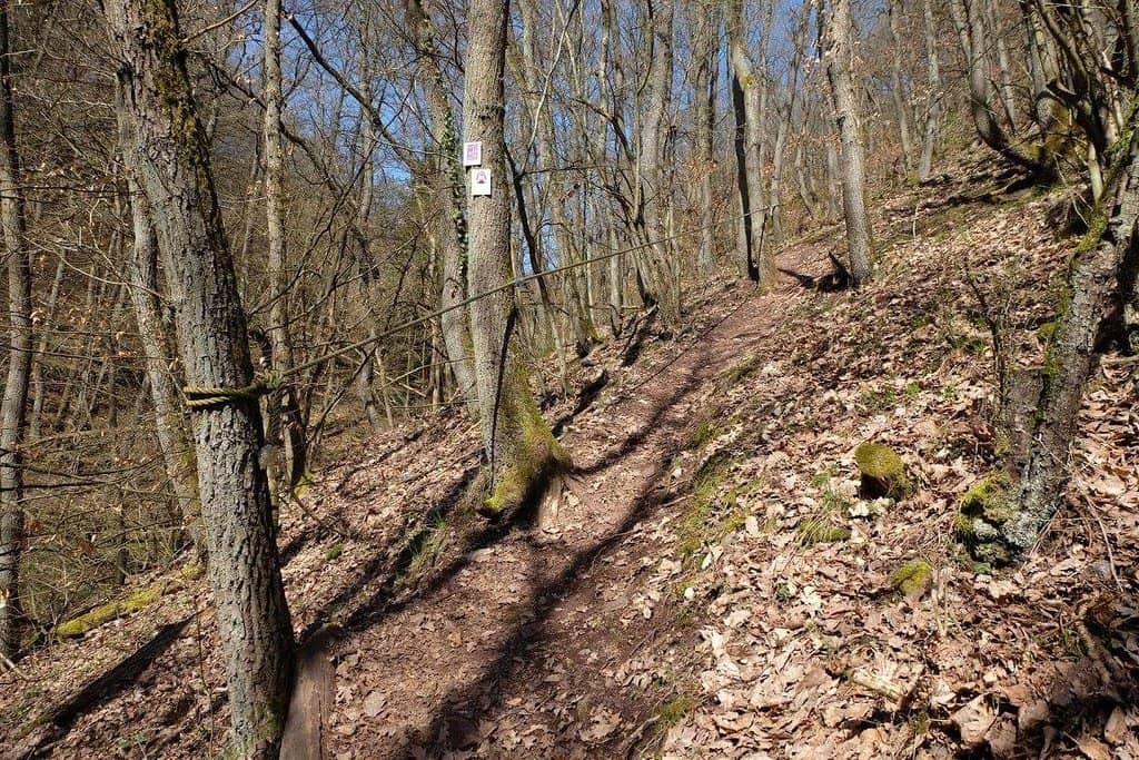 Homersfelsen Vantage Point