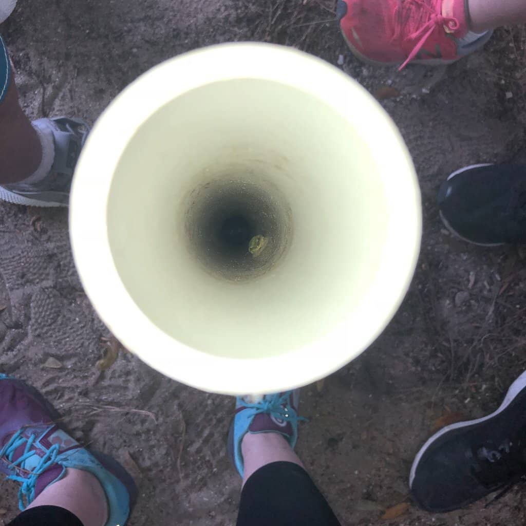 The Point at East Beach