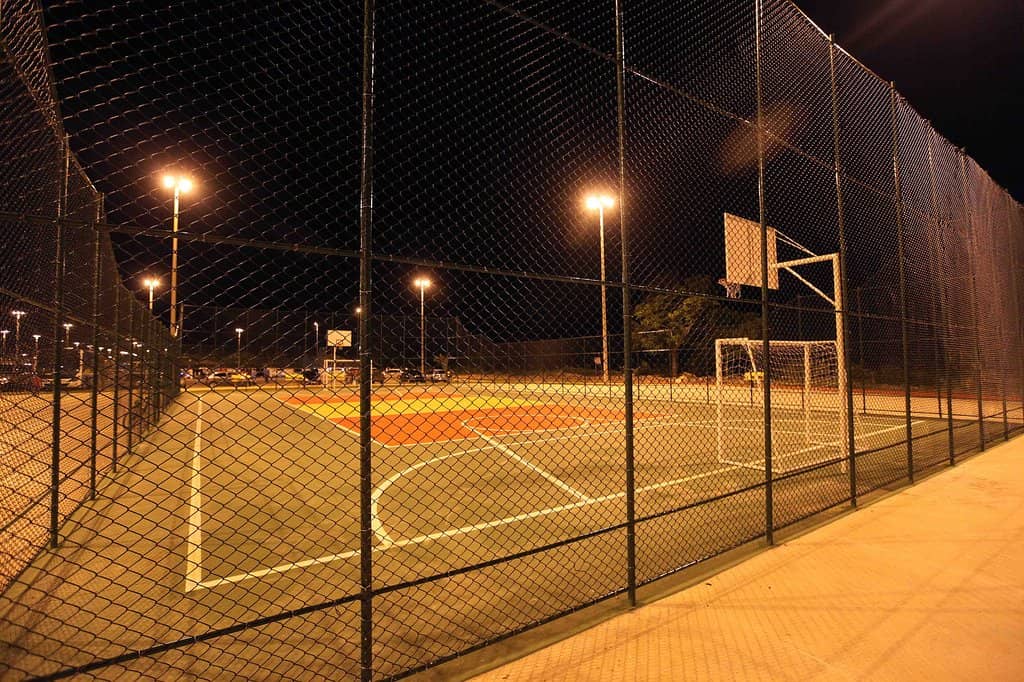 Local Flavors and Street Food