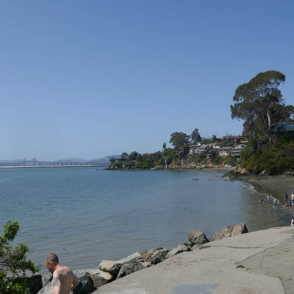 Bay Area Views