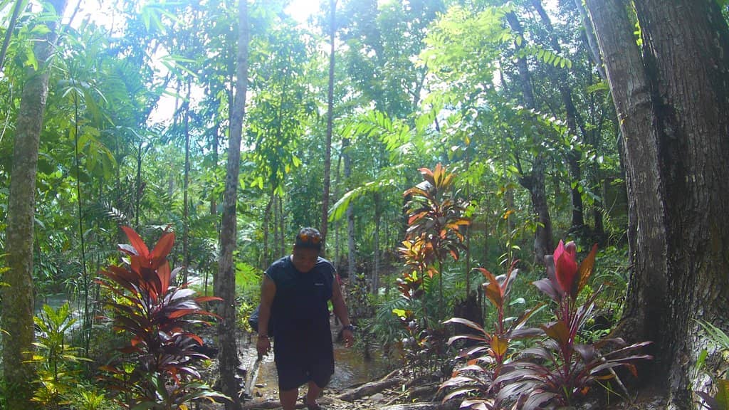 Vertical photo