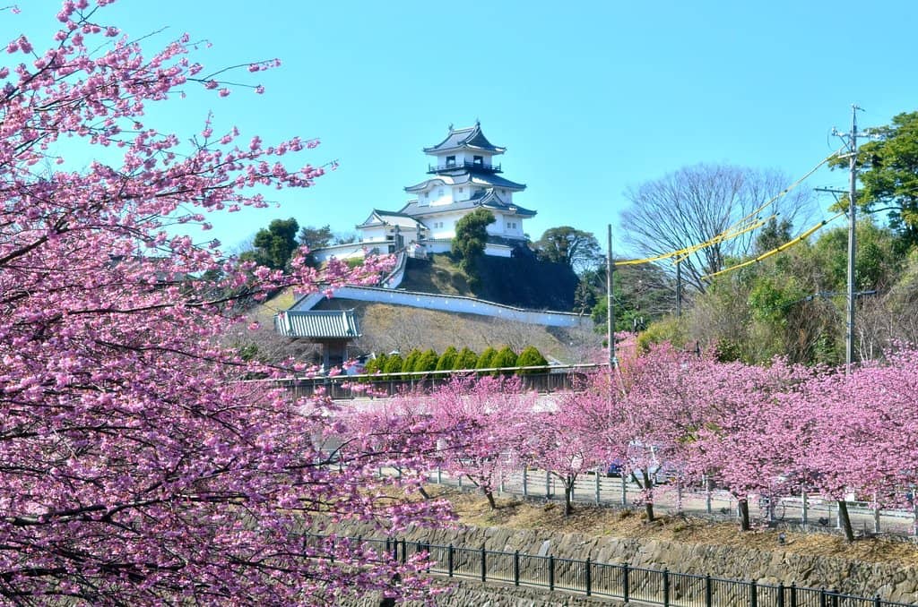 Castle Gardens & Tea House