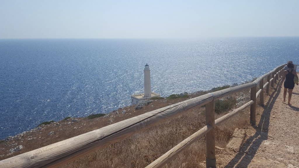 Scenic Coastal Walk