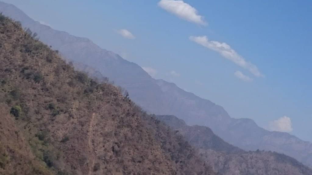 Off-Road Jungle Drive