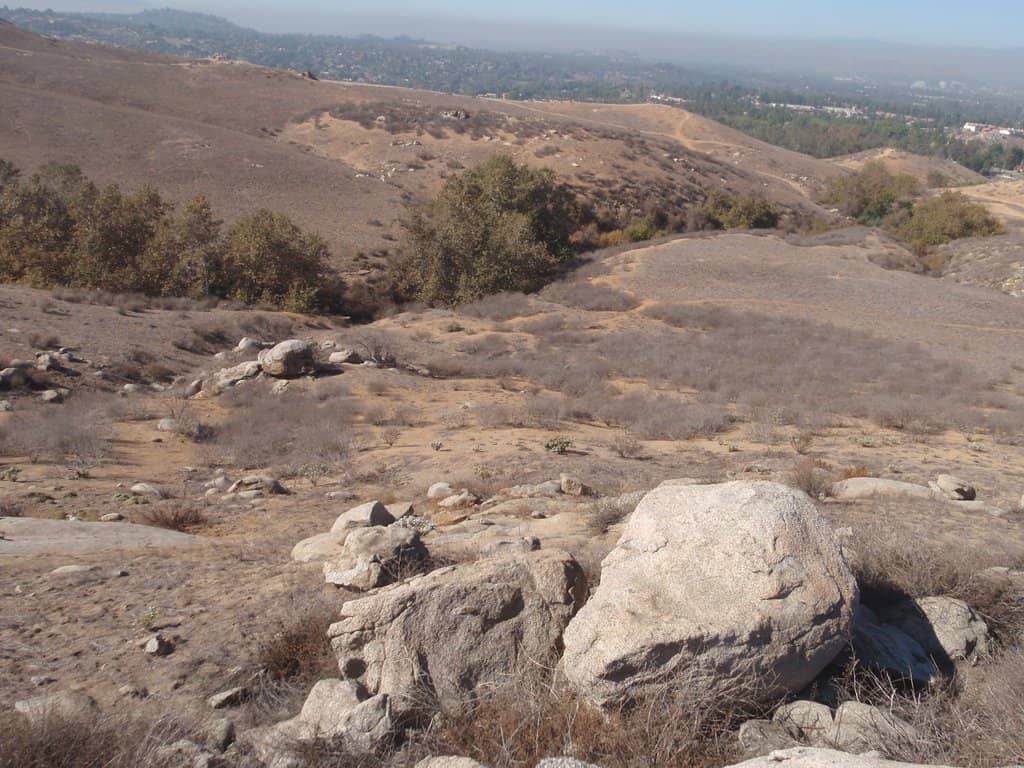 Diverse Trail Network