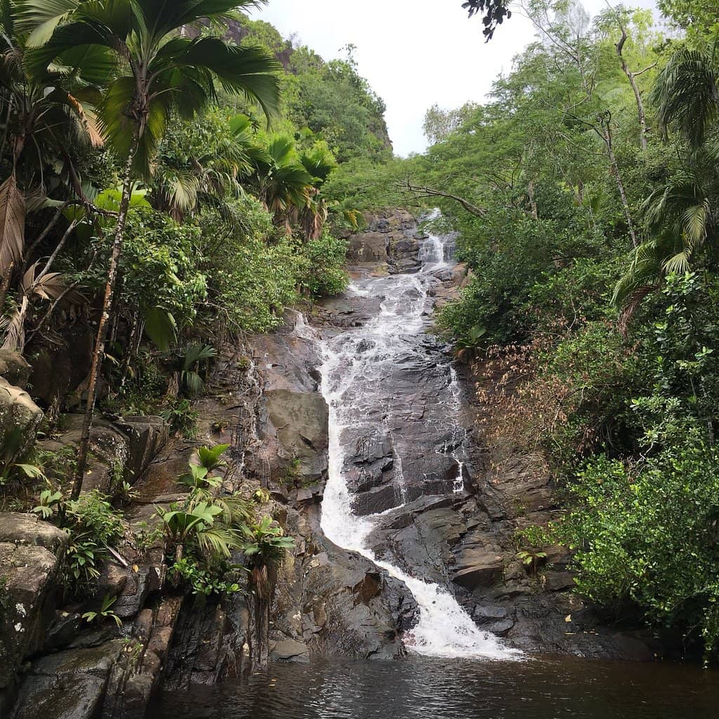 Refreshing Swim