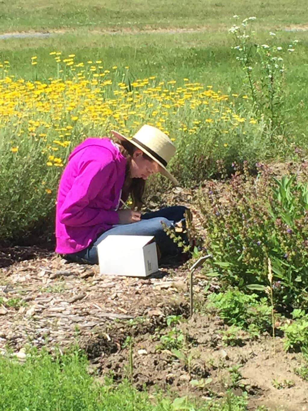 Shaker Craftsmanship