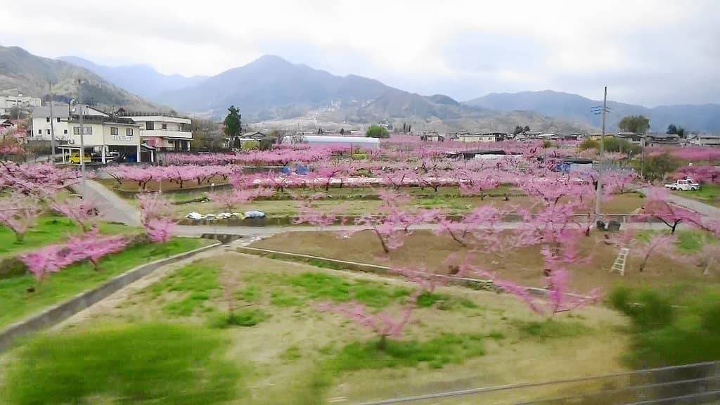 Panoramic Mountain Views