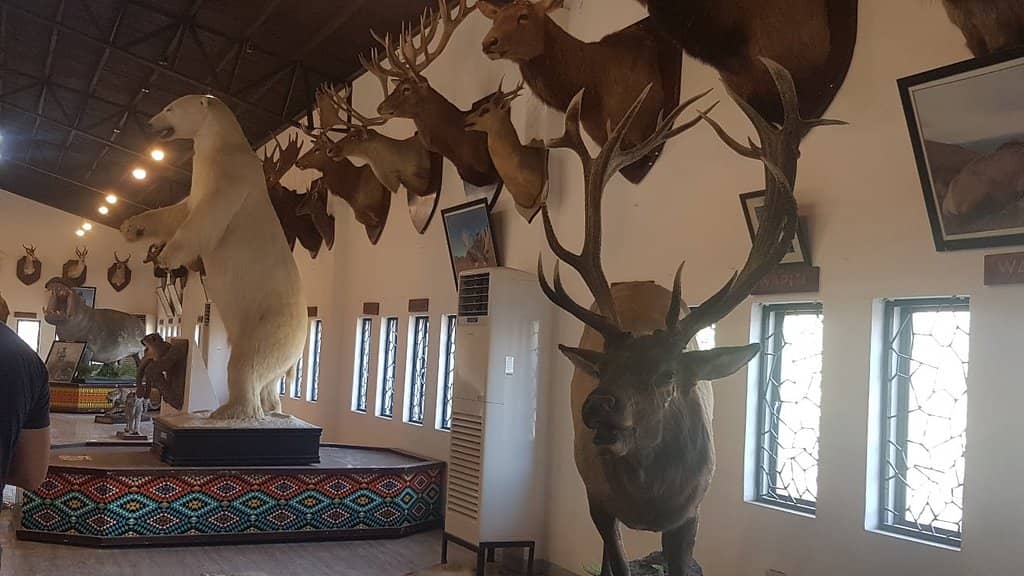 Diverse Live Animal Exhibits