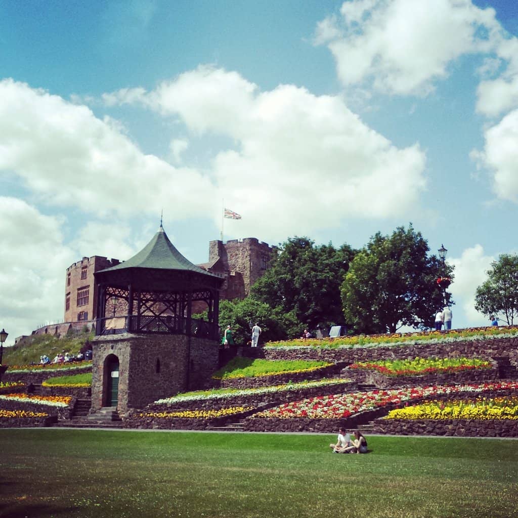 Vibrant Flower Displays