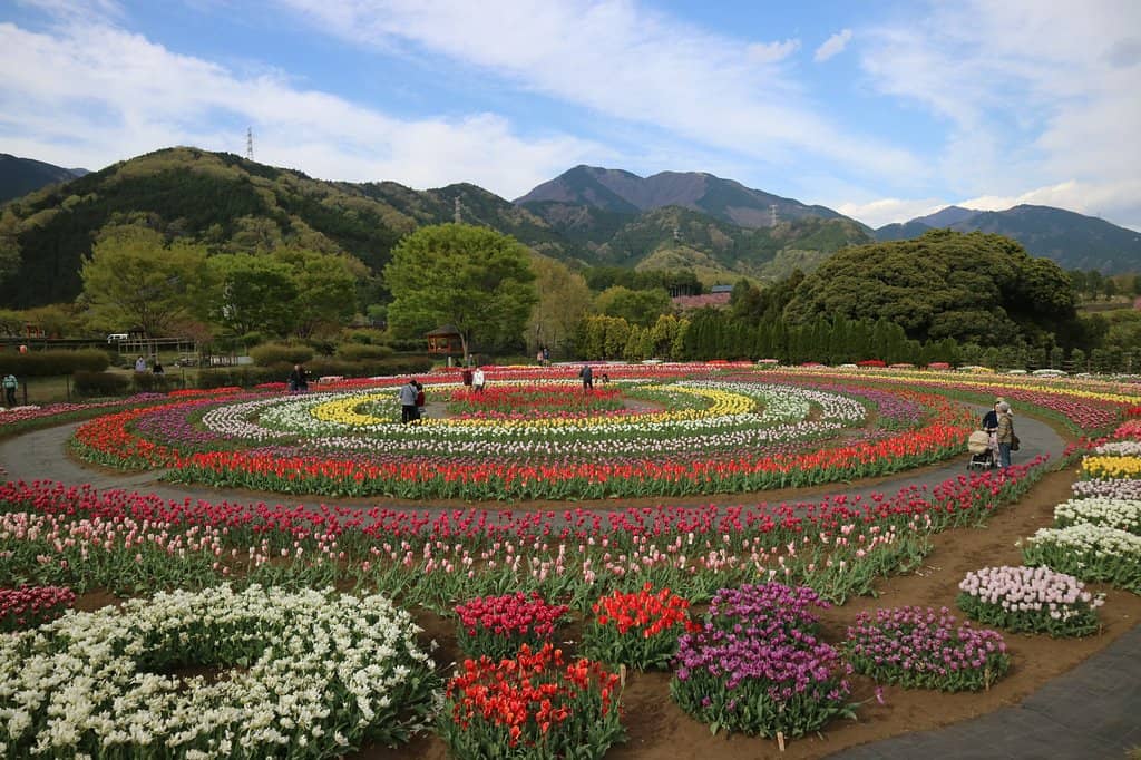 Mizunashi River