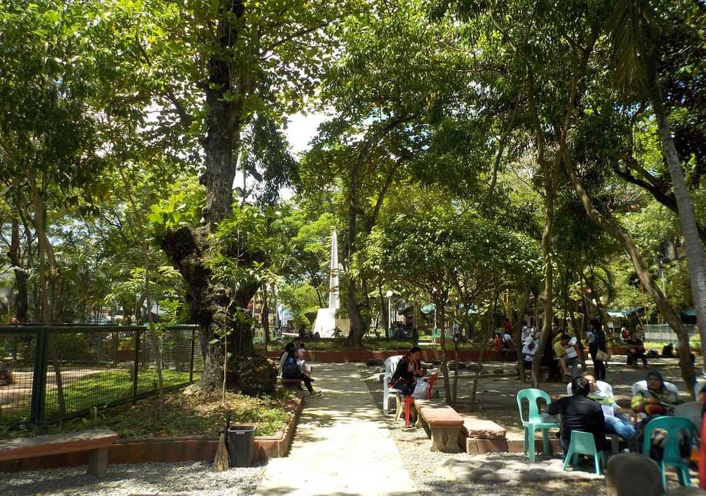 Shaded Park Benches