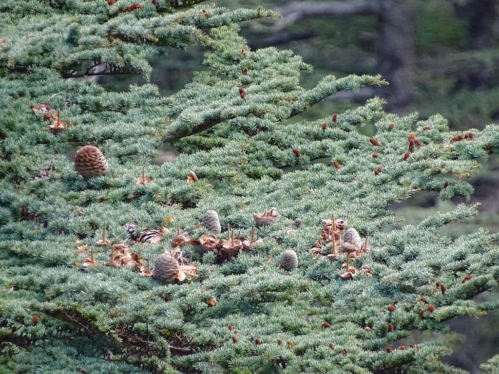 Vertical photo