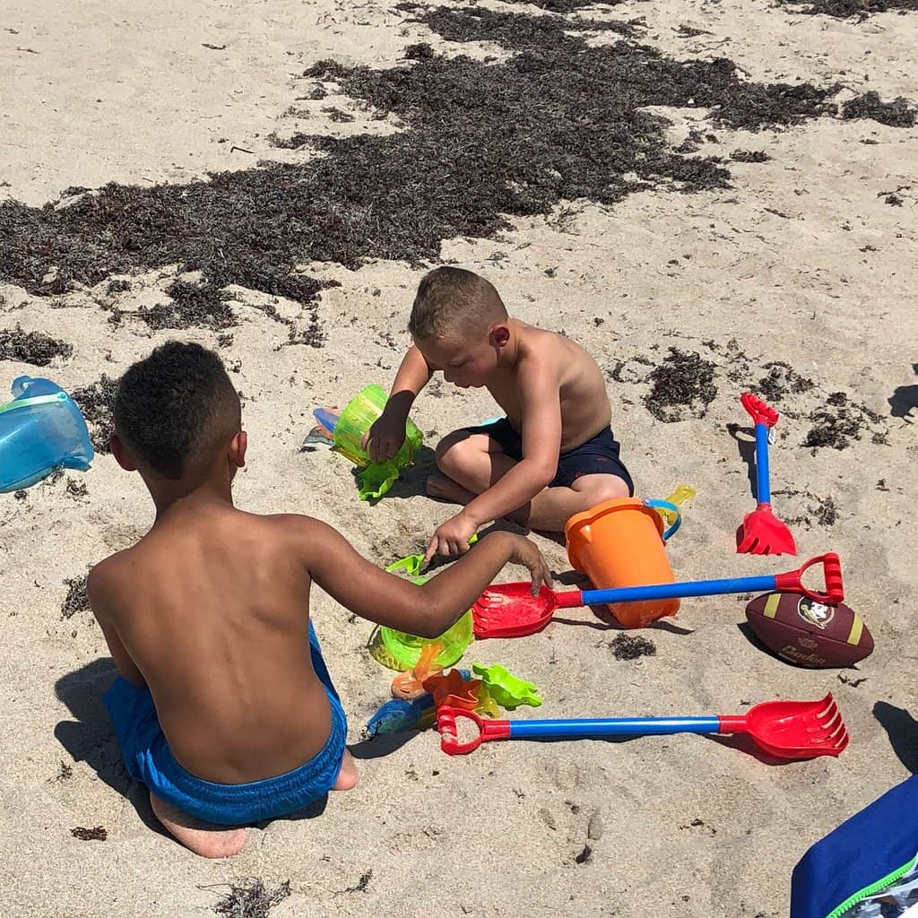 Beachcomber's Paradise