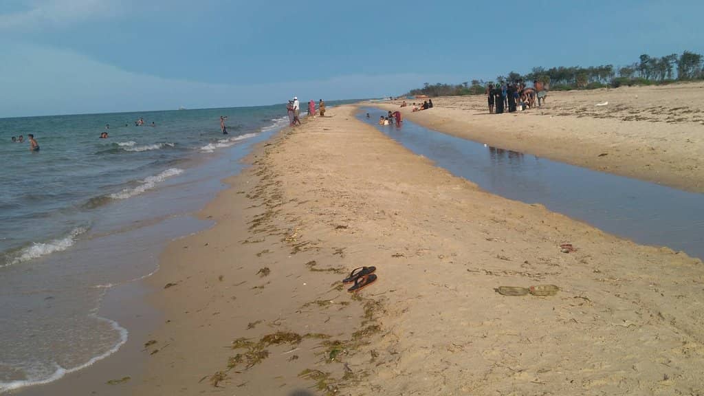 Nature-Themed Cottages