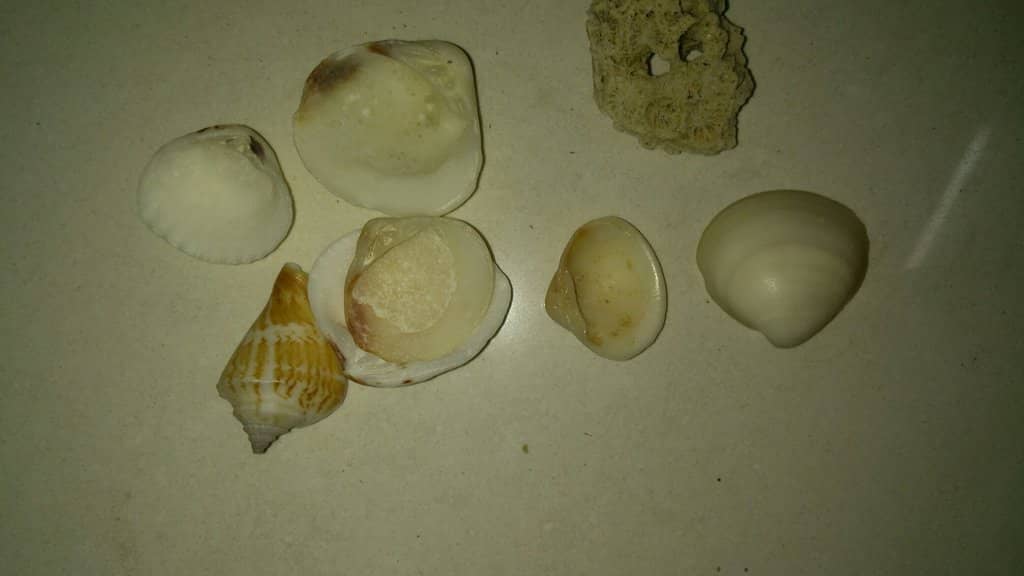 Calm, Shallow Waters