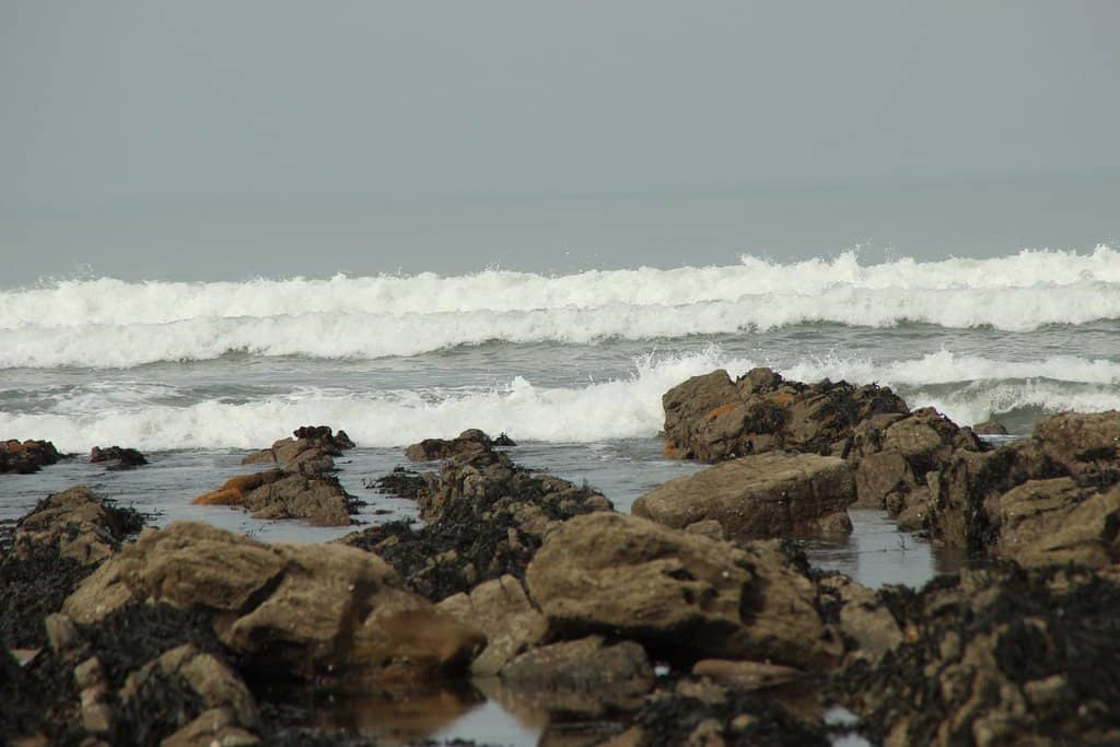 Rock Pool Adventures