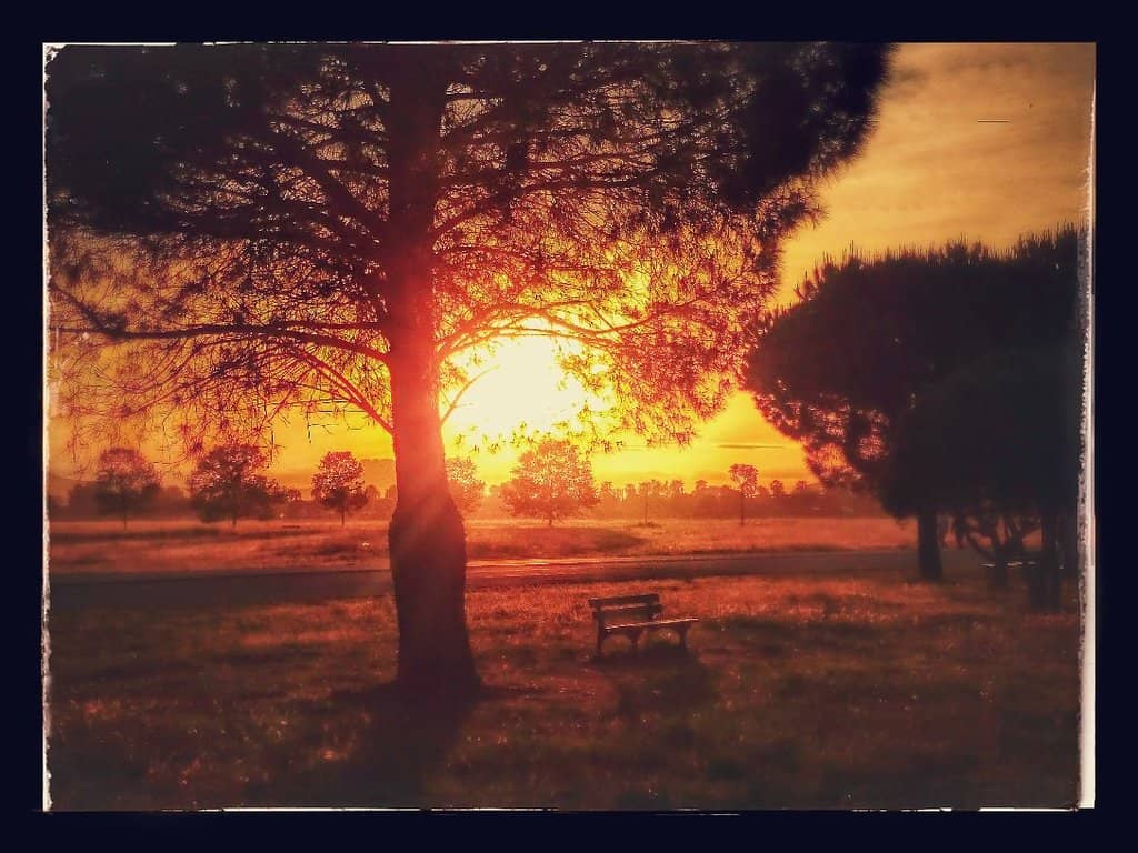 International Kite Festival