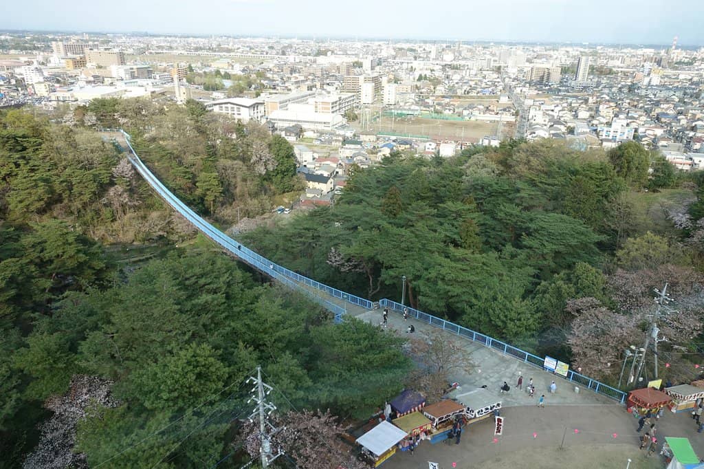 Vertical photo
