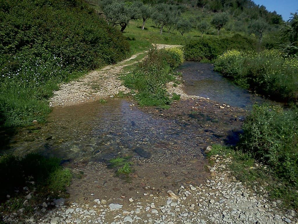 Grutas de Alvados