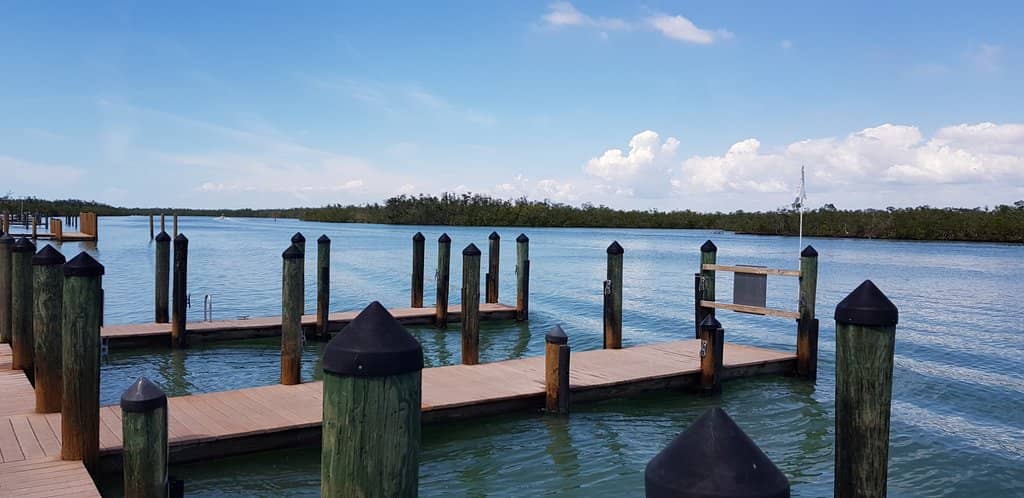 Nature and Bird Watching