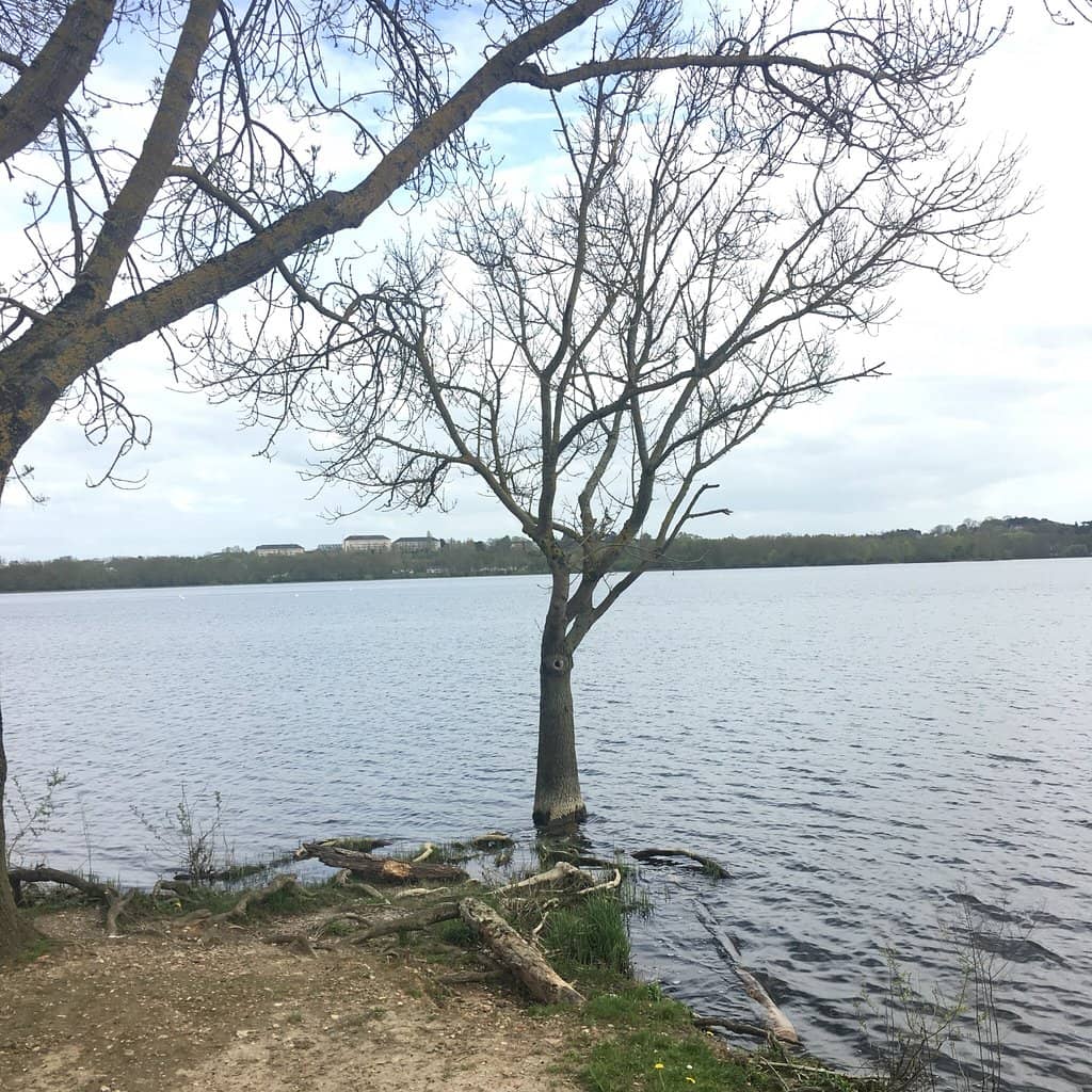 Water Sports Hub