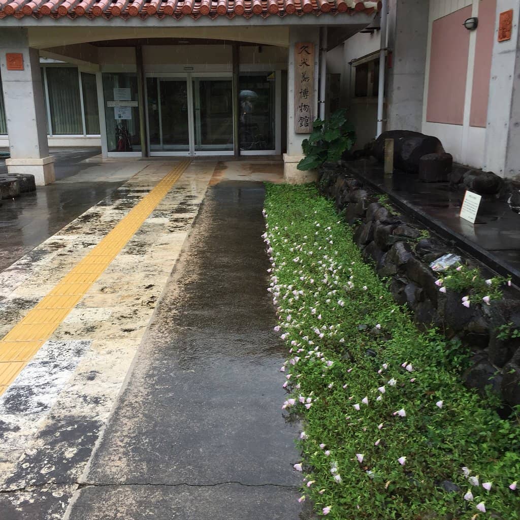 Firefly Tour Information